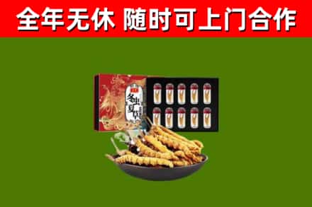 泰州回收冬虫夏草价格